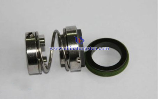 tungsten carbide seals picture