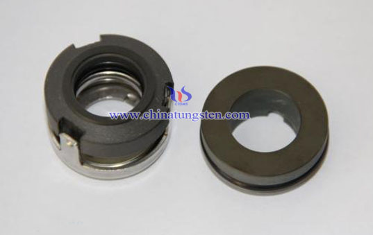 Tungsten Carbide Seals Picture