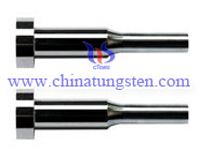 Tungsten Carbide Punch