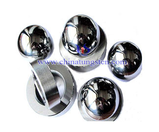 Tungsten Carbide Seals Picture