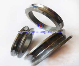 tungsten carbide seals picture